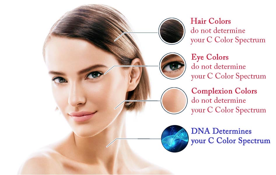 Image Consultant Training, Personal Color Analysis Cards